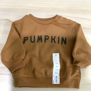 NWT!! Pumpkin Lightweight Sweatshirt Orange/Brown 3Month Old